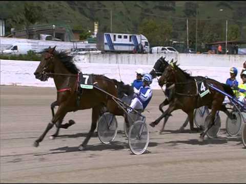 TROTTO 01/05/2016 - 1° Corsa FINALE SFIDA ITALIA