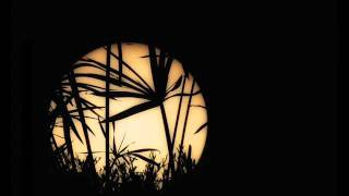 Ratio feat. LDF - You In Me (Dub Mix)