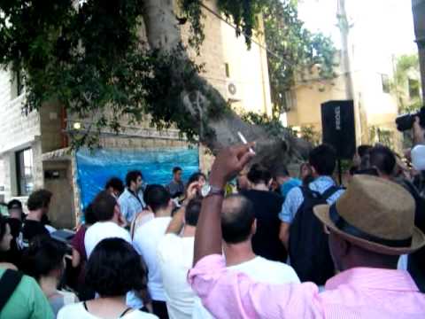 ميساء ضو عالرصيف