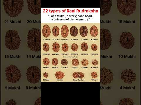 22 Types of Original Rudraksha🔱🙏  #shorts #viralshorts #youtubeshorts