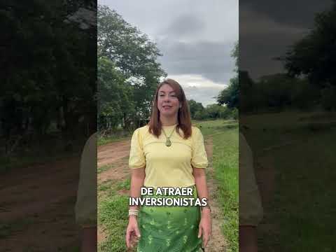 La Primavera Vichada|-infraestructura vial y gestión pública en la primavera Vichada 