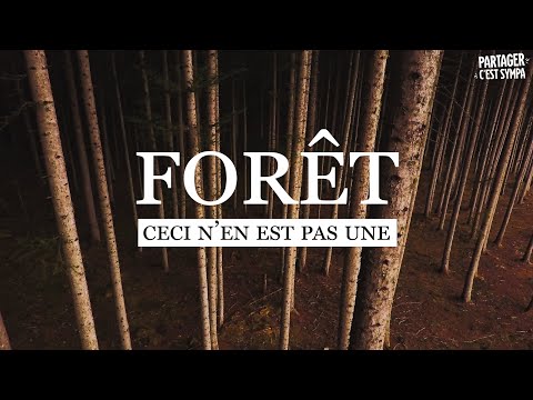ENQUÊTE : La Forêt Française en DANGER | EP 1