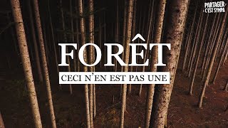 Destruction industrielle des forêts françaises