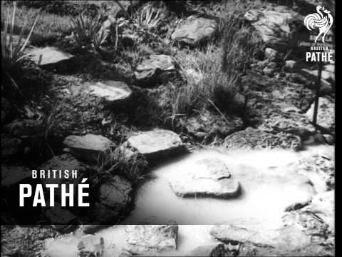 New Tourist Attraction Near Sydney   (1929)