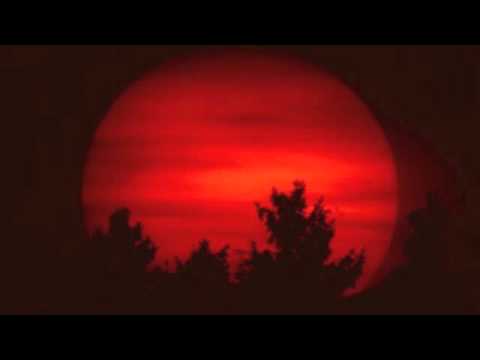 Species K - Roter Mond (Original Mix)