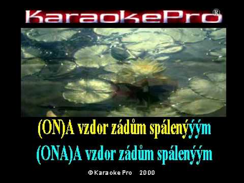 Eva Pilarová a Waldemar Matuška - Tam za vodou v rákosí (karaoke)