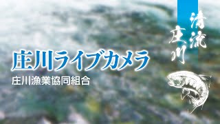 庄川（高山市荘川町）