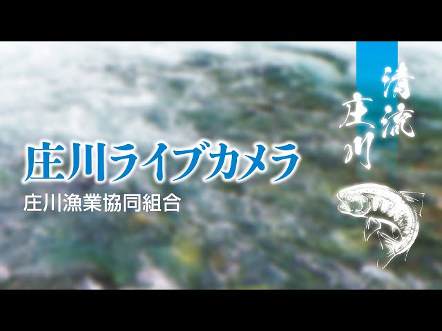 庄川（高山市荘川町）
