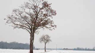 The Road - Context