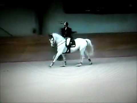 OGIERY BONIN-FALBRUS