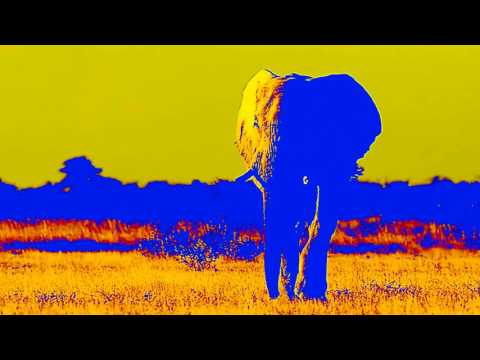 UNIVERSE / John Princekin 2 feat Benni & Maelle