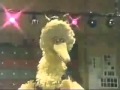 Classic Sesame Street Just A Rock