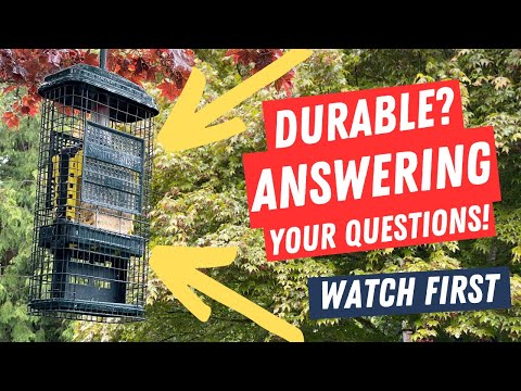 After 2 Years of Regular Use - Squirrel Buster Bird Feeder - Could a Mama Bear Get Into This Feeder?