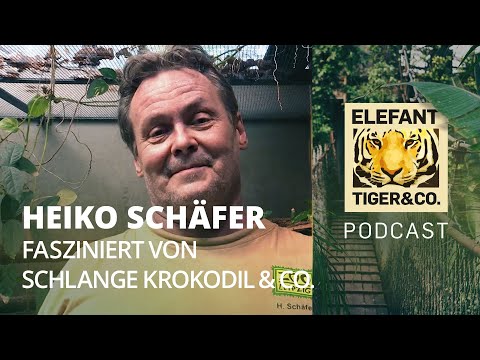 ETC der Podcast: Heiko Schäfer: "Wildtiere sind nicht zum Kuscheln da"
