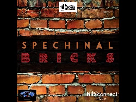 Spechinal - Bricks (Feb 2016) New Dancehall 2016!  +lyrics
