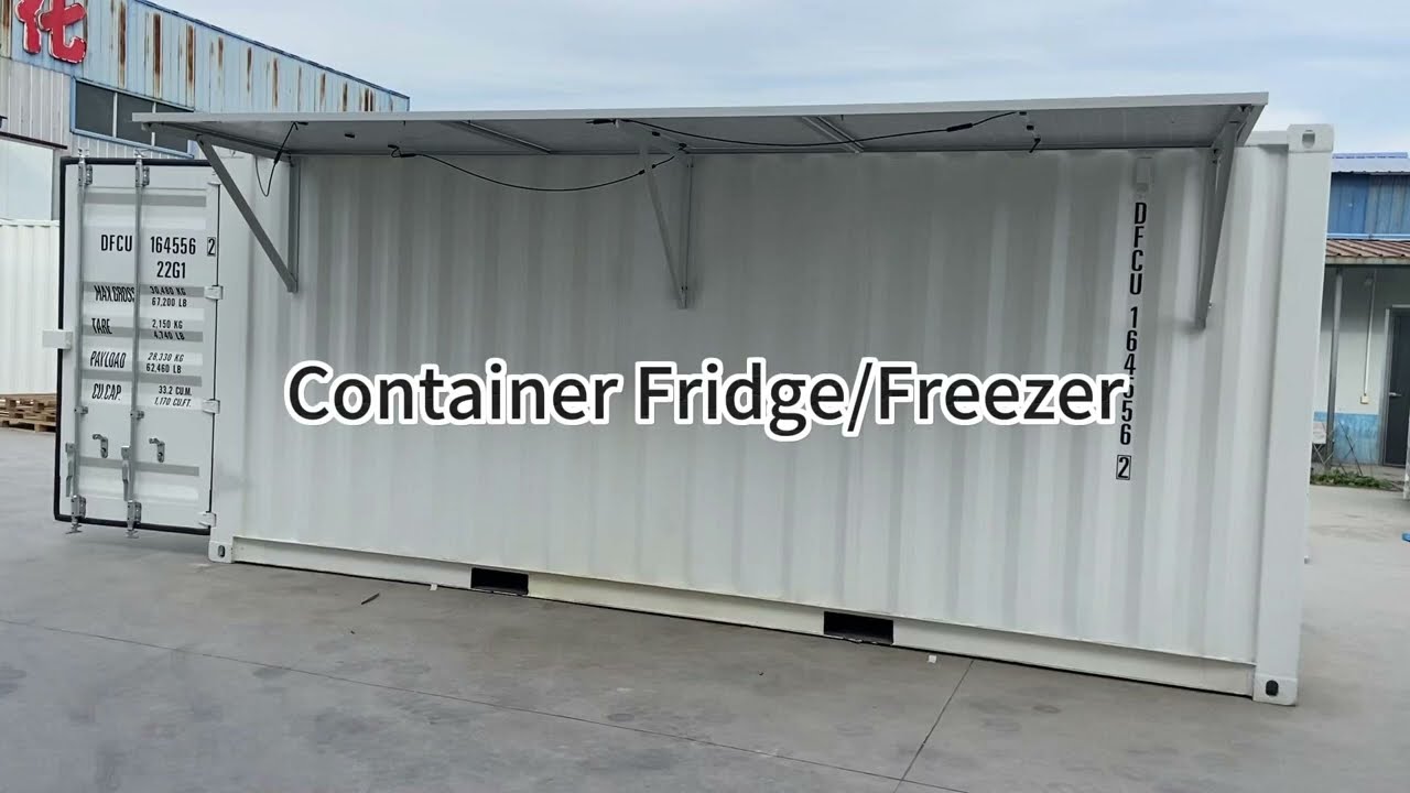 20ft 40ft Container Cold Room Refrigerator/Freezer