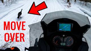 Snowmobile Trail Riding #20 [Old Forge, New York]
