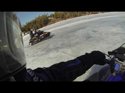 Yamaha Apex vs Thundercat