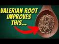 Amazing Health Benefits Of Valerian Root