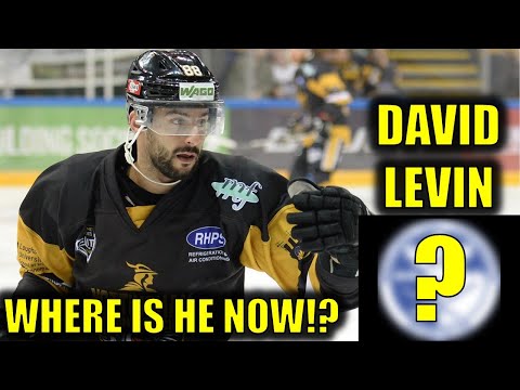 David Levin - Where Are They Now?