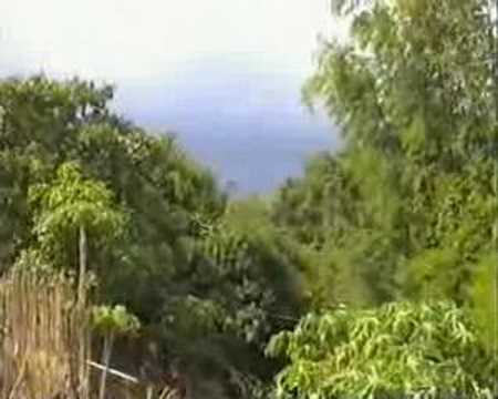 Philippines Palawan Trip 2005 part 04