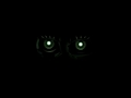 UN ALTRO FNAF? - FnaF teorie UN ALTRO FNAF? - FnaF teorie