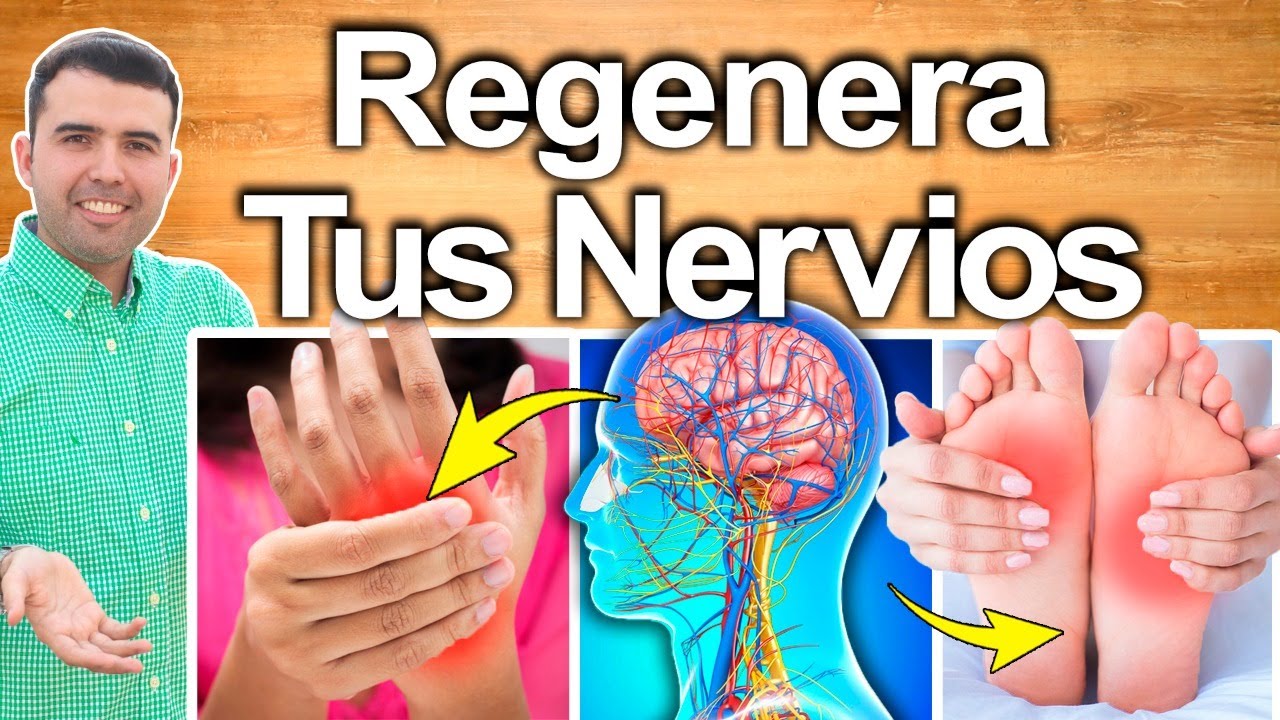 REGENERA TUS NERVIOS - Tienes Daño Nervioso y No Lo Sabes - Como Revertir Neuropatia