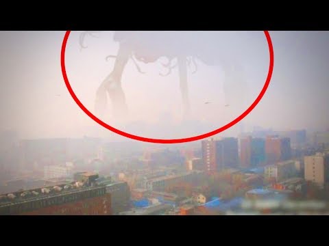 10 Mysterious Giant Creatures Caught on Tape