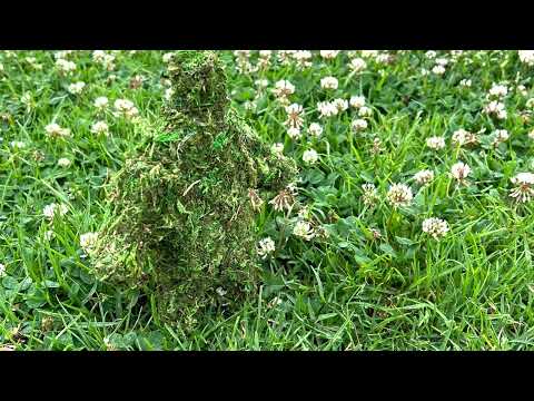 Manuel Villa Land Art