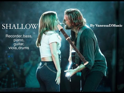 “Shallow” Recorder Cover