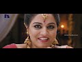 Sudheer Babu Latest Movie Latest Telugu Full Movies Bhale Manchi Roju