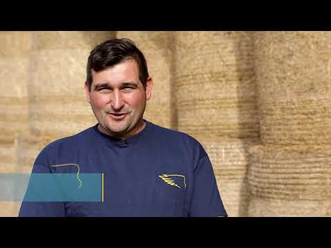 DEKALB hibridi kukuruza - Josip Dolezal i Mladen Maletic