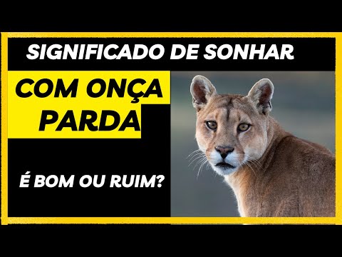 Significado de sonhar com #onça parda - É bom ou ruim?