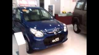 Suzuki Alto 800 Deluxe Review - Color Blue