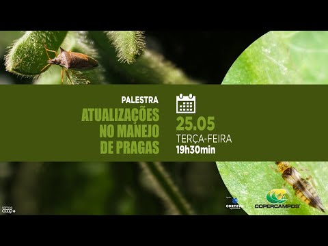 Atualizações no manejo de pragas