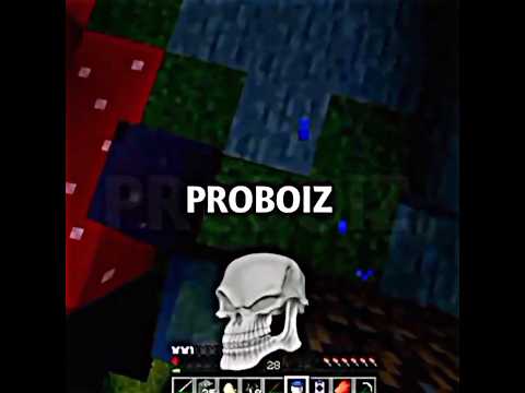 Top 5 Indian Minecrafters💀 (Collabed with @FeivelMC  )