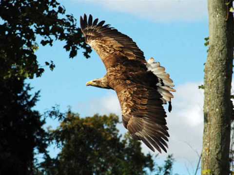 Opwekking 488 - De kracht van Uw liefde