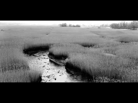 The Mud - Quinnipiac River Marsh - New Haven / North Haven / Hamden border (Drone: 25fps)