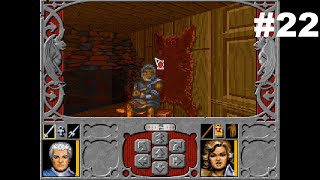 Let’s Play Ravenloft Strahd’s Possession #22: Regathering the Party