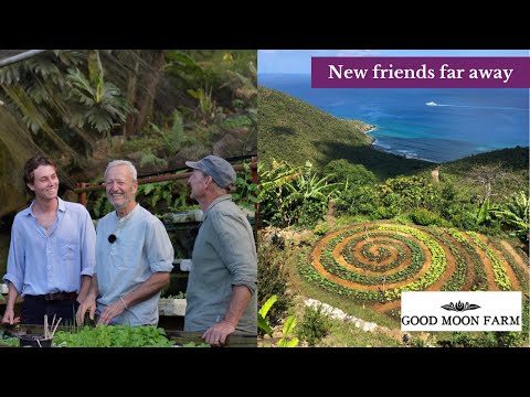 Tropical Mountain Garden