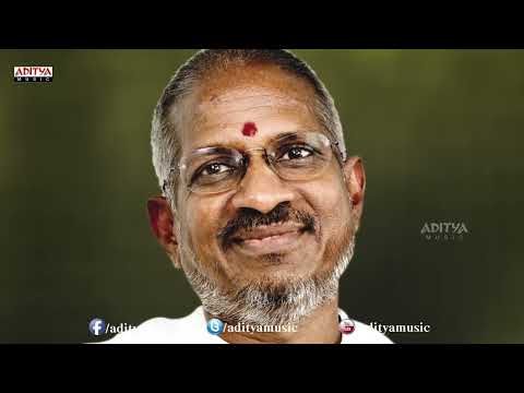 Karigipoyanu Song With Lyrics   Marana Mrudangam Songs   Ilayaraja,Chiranjeevi,Suhasini