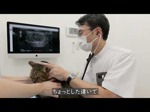 名古屋たかおか動物医療センター