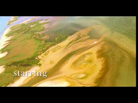 Spot turism Delta Dunarii 20 sec- regia Cătălin Saizescu