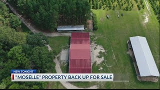 Moselle property up for sale again