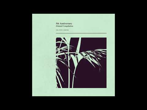 Indefinite Pitch premieres. Bumho - Gong [Oslated]