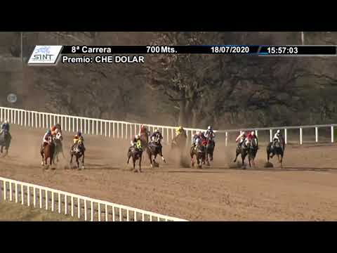 18/07/2020 – Hipódromo de Paysandu – Carr 8 – CHE DOLAR