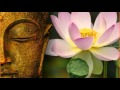 2h30 Relaxing beautiful music-zen-relaxation-spa-massage-F. Amathy-baby sleep-natural health