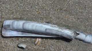 ane brun -  don&#39;t leave