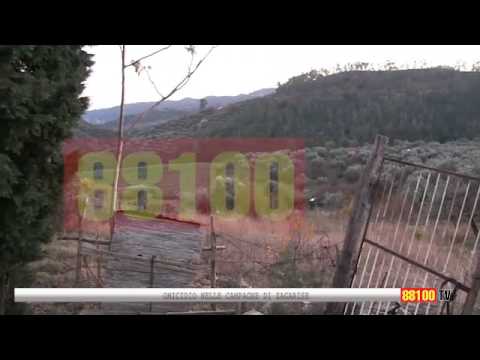 OMICIDIO NELLE CAMPAGNE DI ZAGARISE
