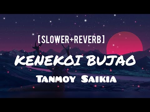 Kenekoi Bujao by Tanmoy Saikia [ slower+reverb ] Lofi Song #buddies
